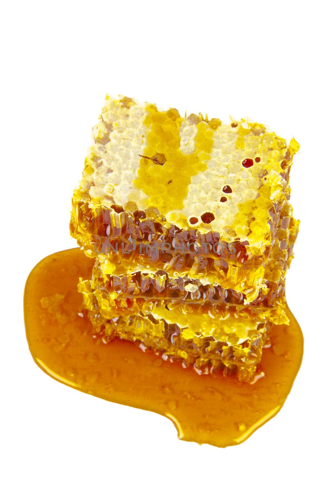 sweet honeycombs with honey by anelina