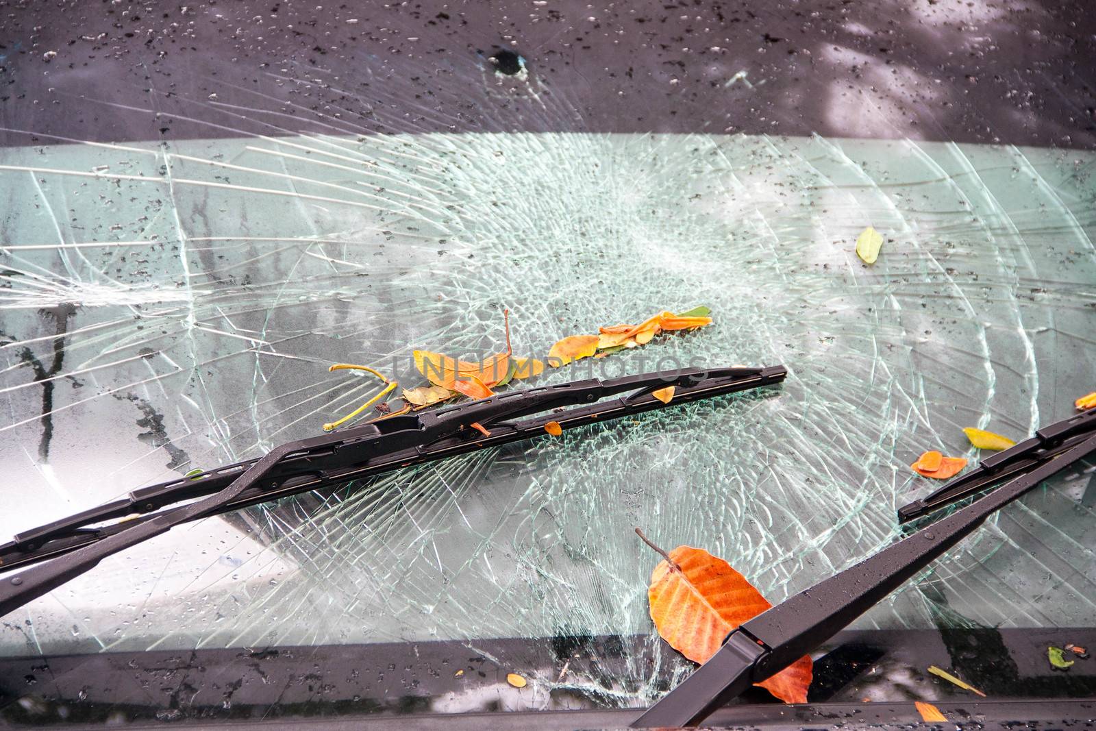 broken windshield in car accident by Yuri2012