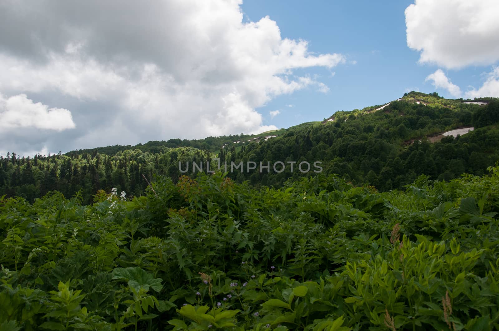 The magnificent mountain scenery of the Caucasus Nature Reserve by Viktoha