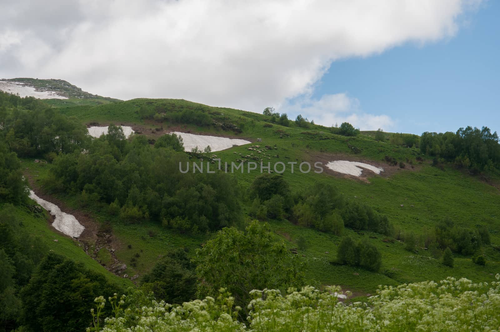 The magnificent mountain scenery of the Caucasus Nature Reserve by Viktoha