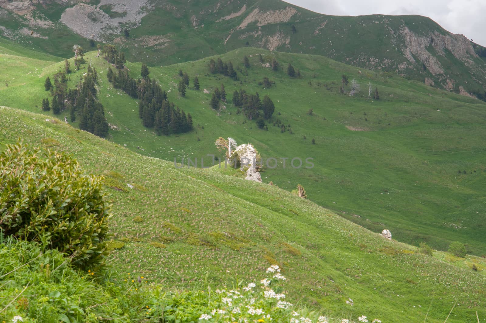 The magnificent mountain scenery of the Caucasus Nature Reserve by Viktoha