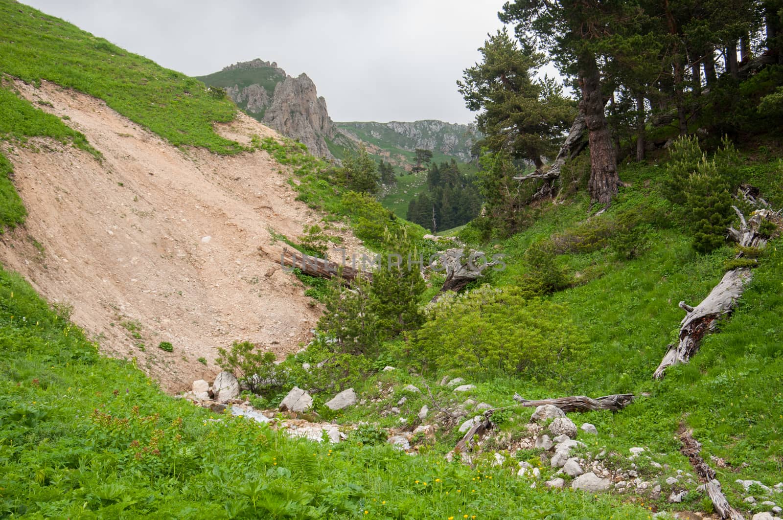 The magnificent mountain scenery of the Caucasus Nature Reserve by Viktoha