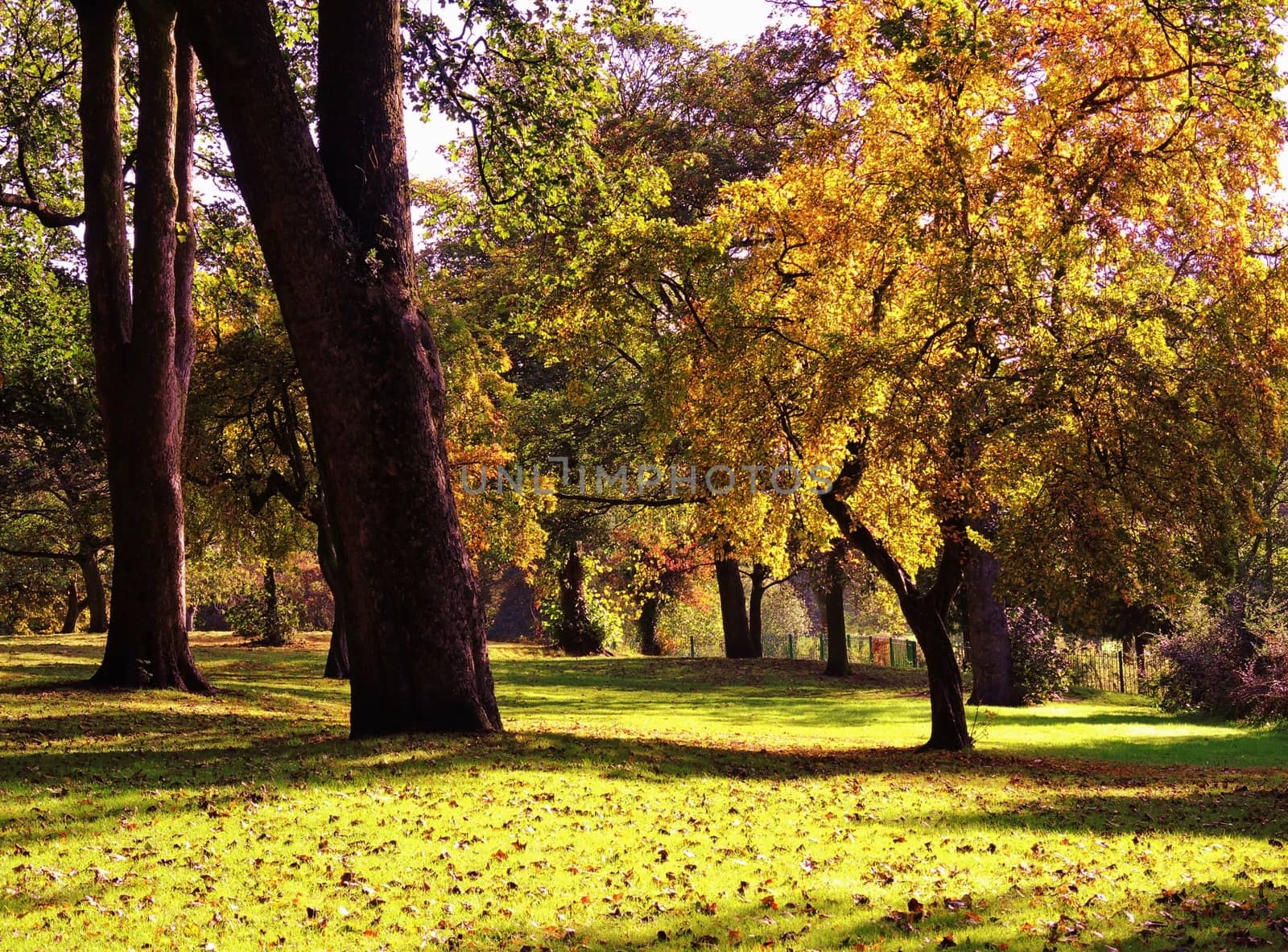 An image of a colourful Autumn landscape.