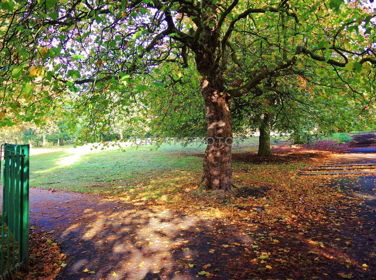 An image of a colourful Autumn landscape.