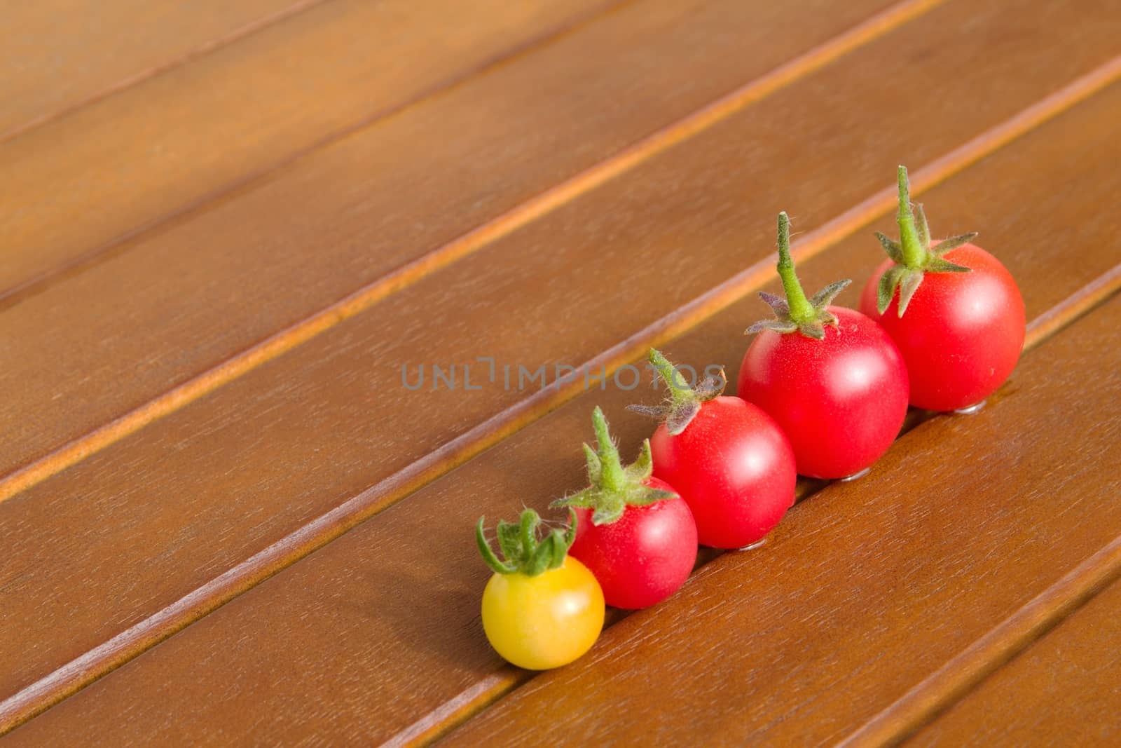 Colourful tomatoes on a table by Dermot68