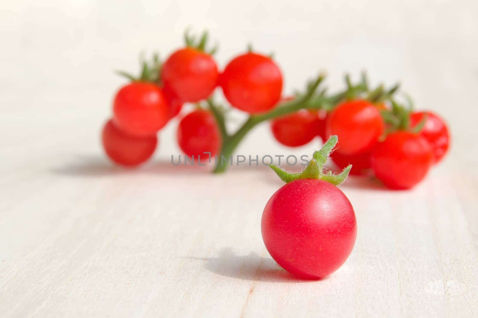 Colourful tomatoes on a table by Dermot68