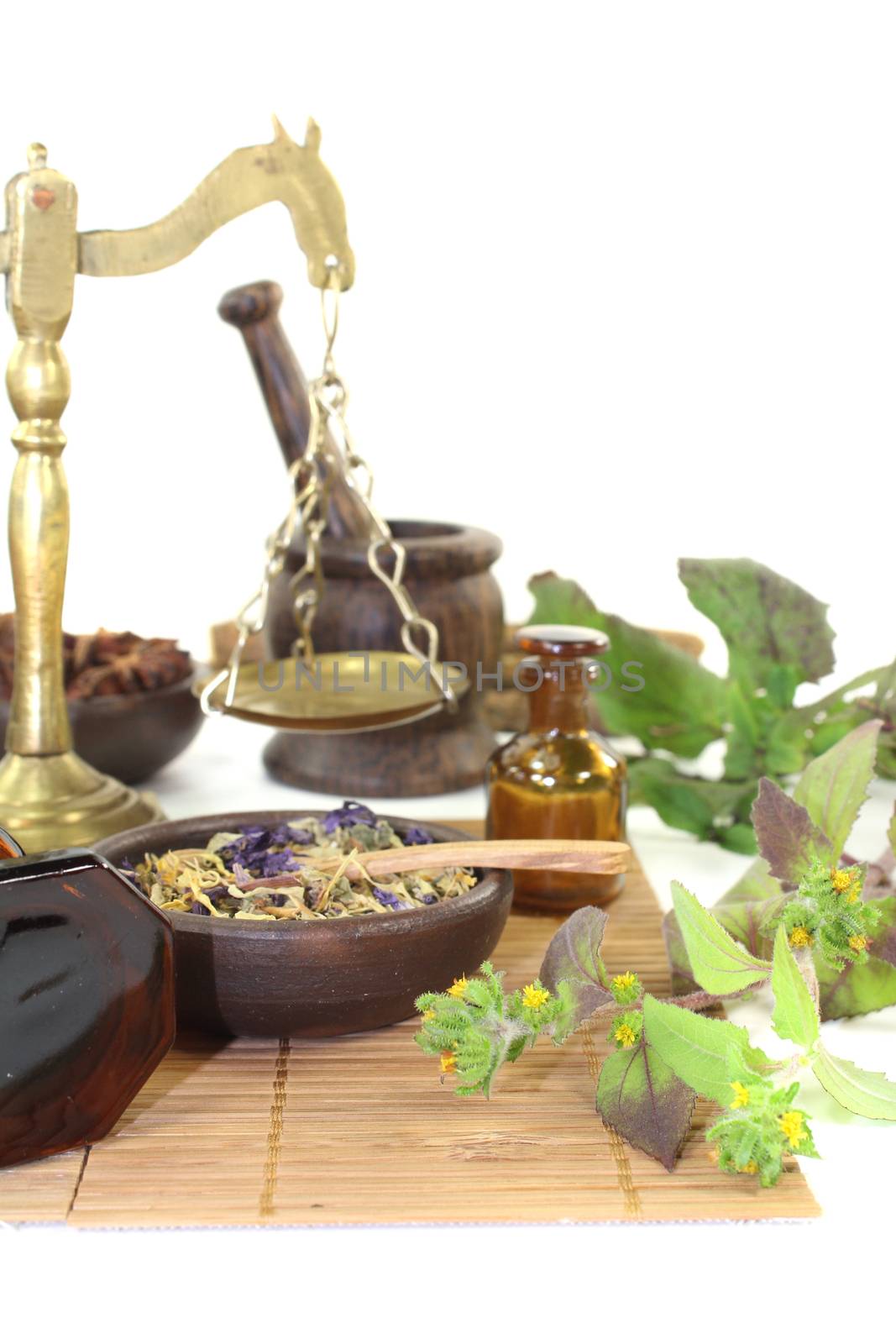 Chinese medicine with plants on light background