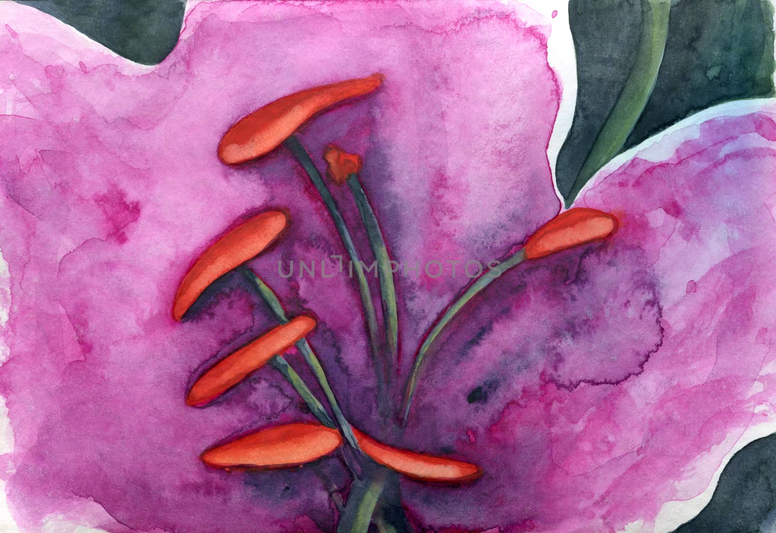 Pistils closeup original watercolor painting in orange and pink. 