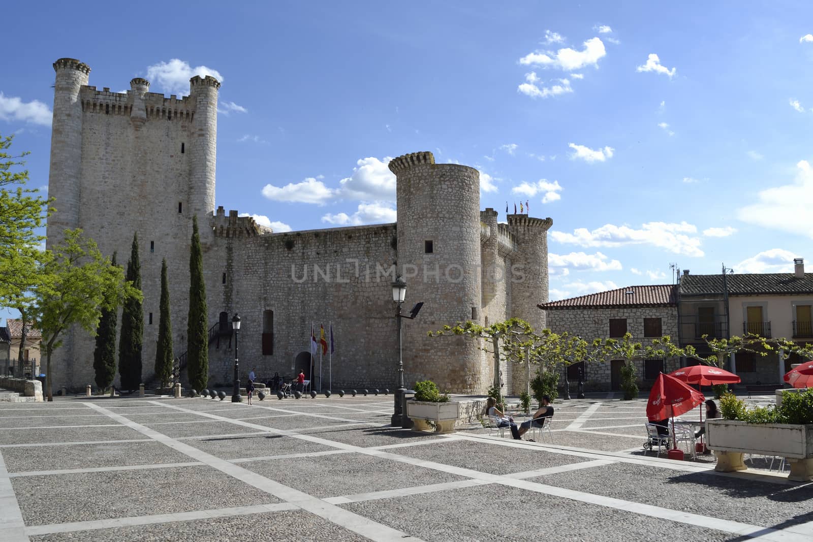 Torija castle, Spain by ncuisinier