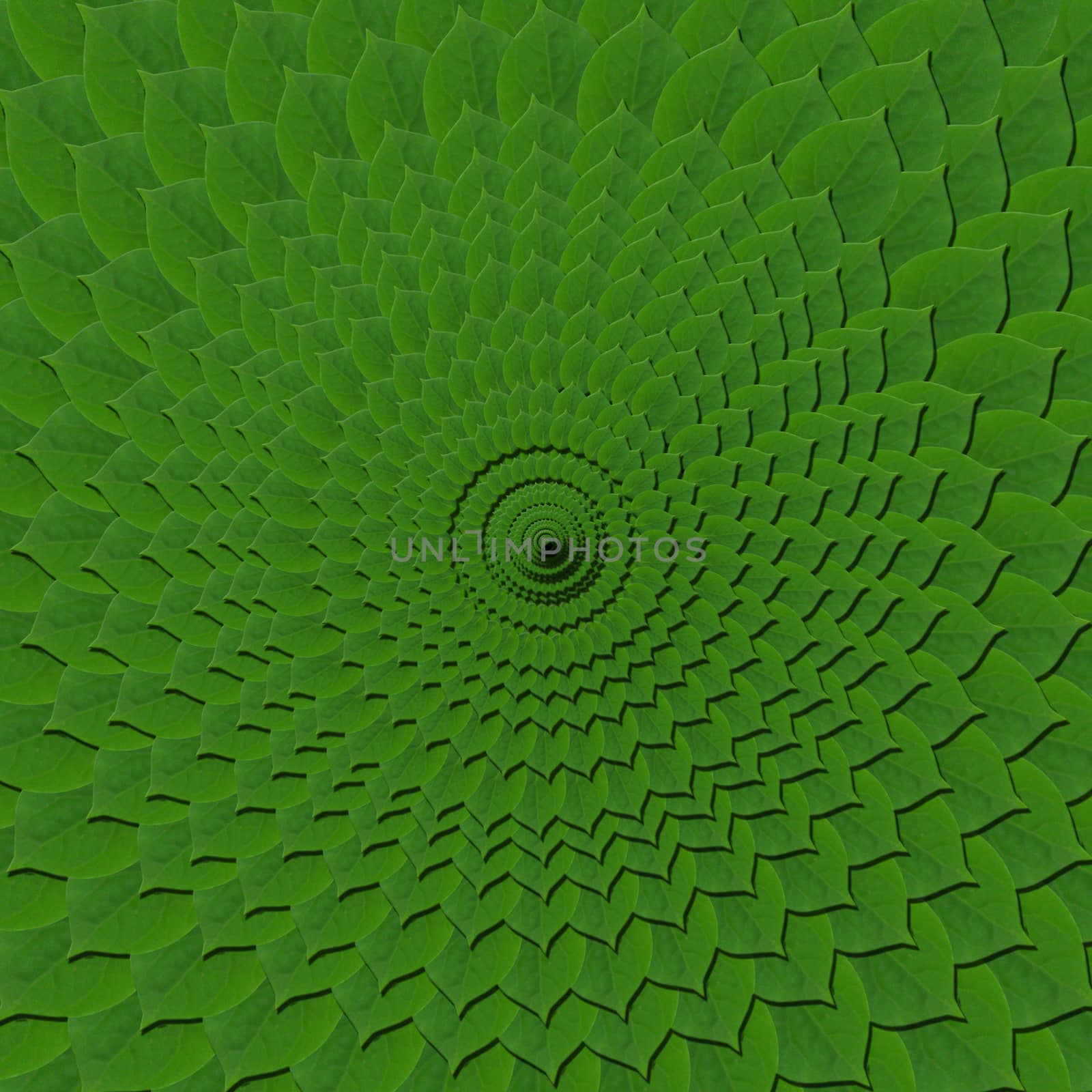 background from circle pattern of green leaves