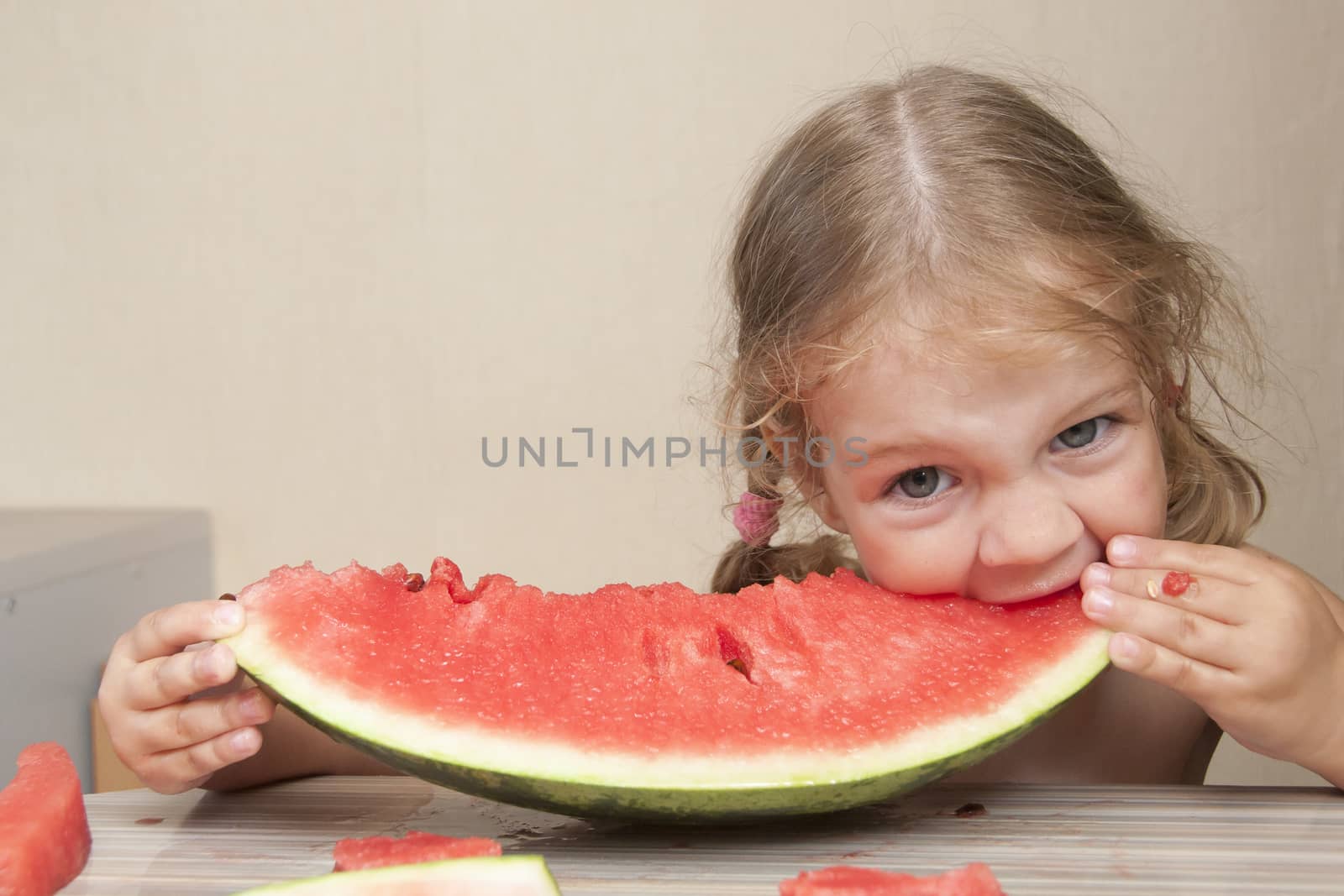 Two-year-old girl sitting at the kitchen table and eats with pleasure watermelon. Writhing faces