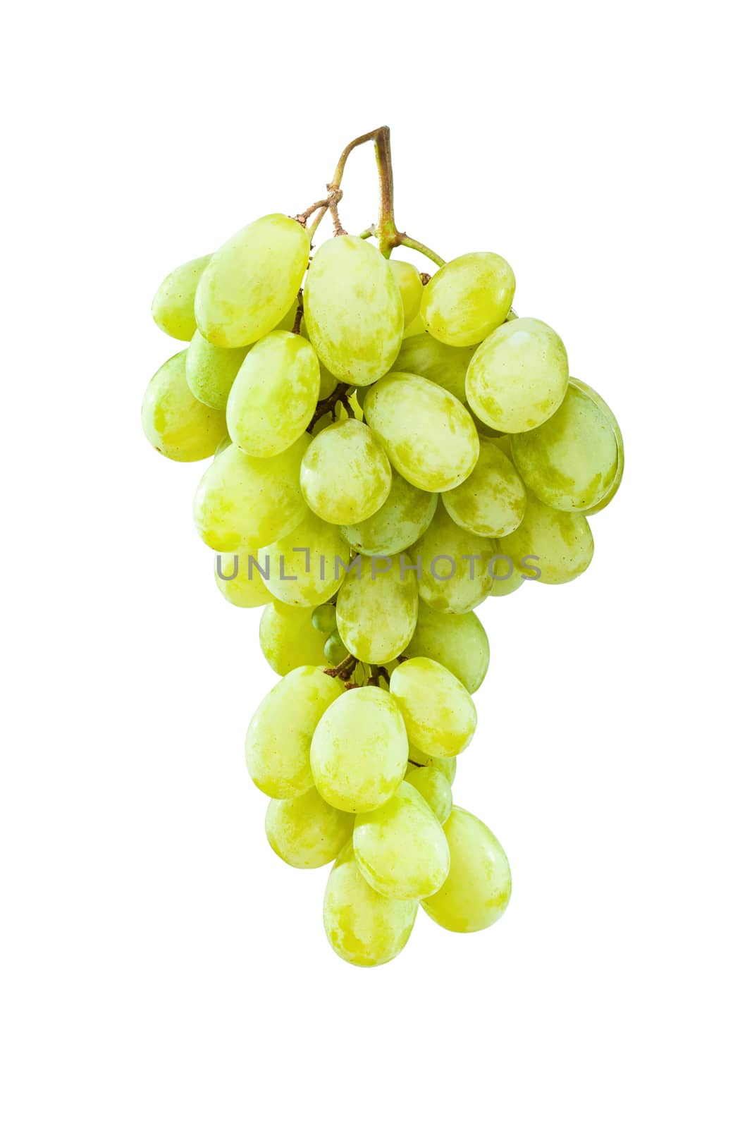 Fresh and ripe green grapes hanging against white background