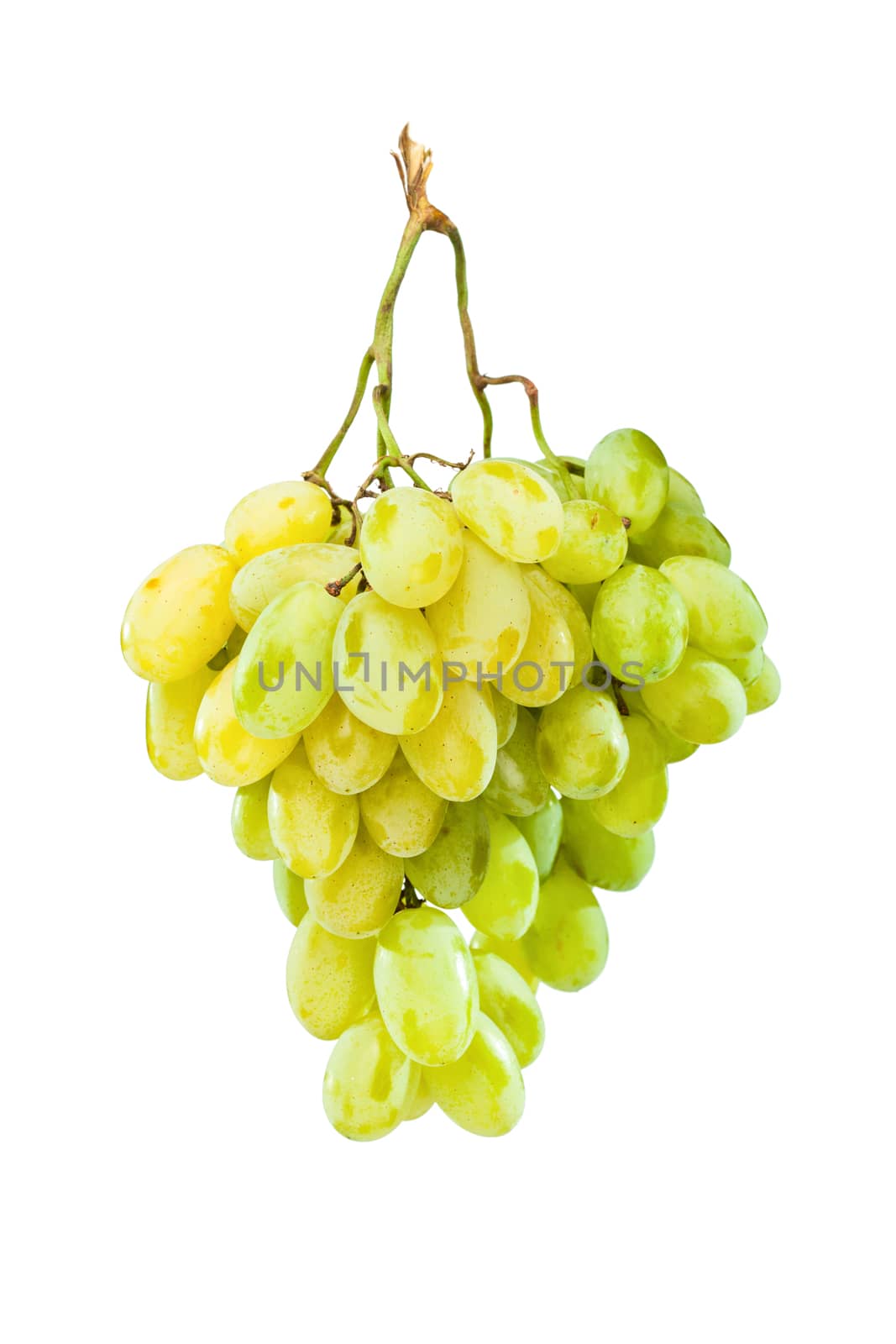 Ripe green grapes hanging against white by kokimk