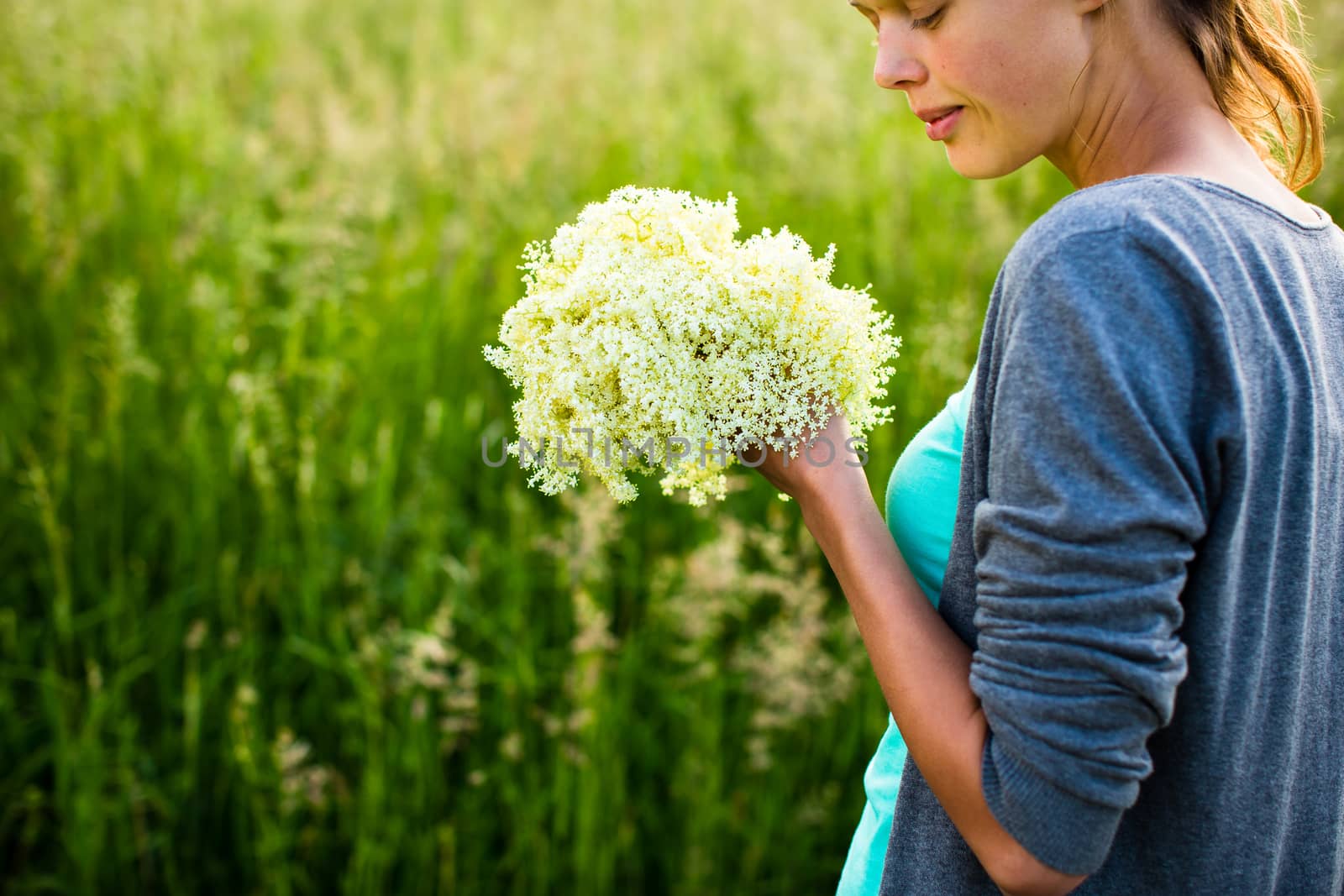 Young woman picking elderflower to make an infusion at home by viktor_cap