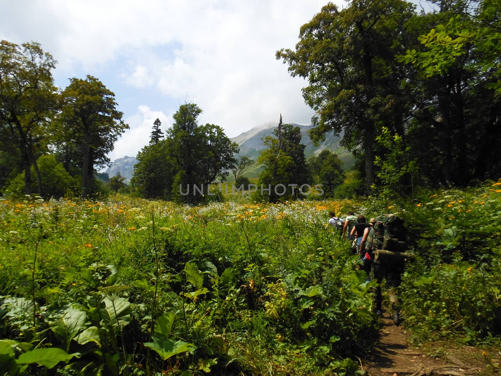 Mountains of the Caucasian natural reserve