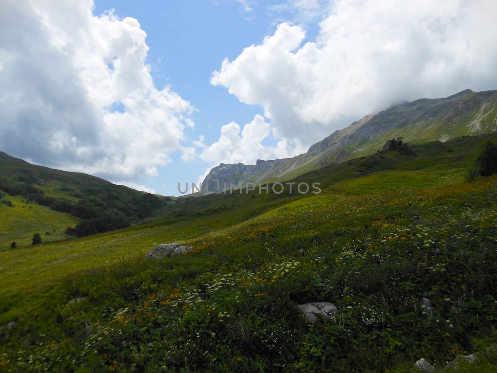 Mountains of the Caucasian natural reserve