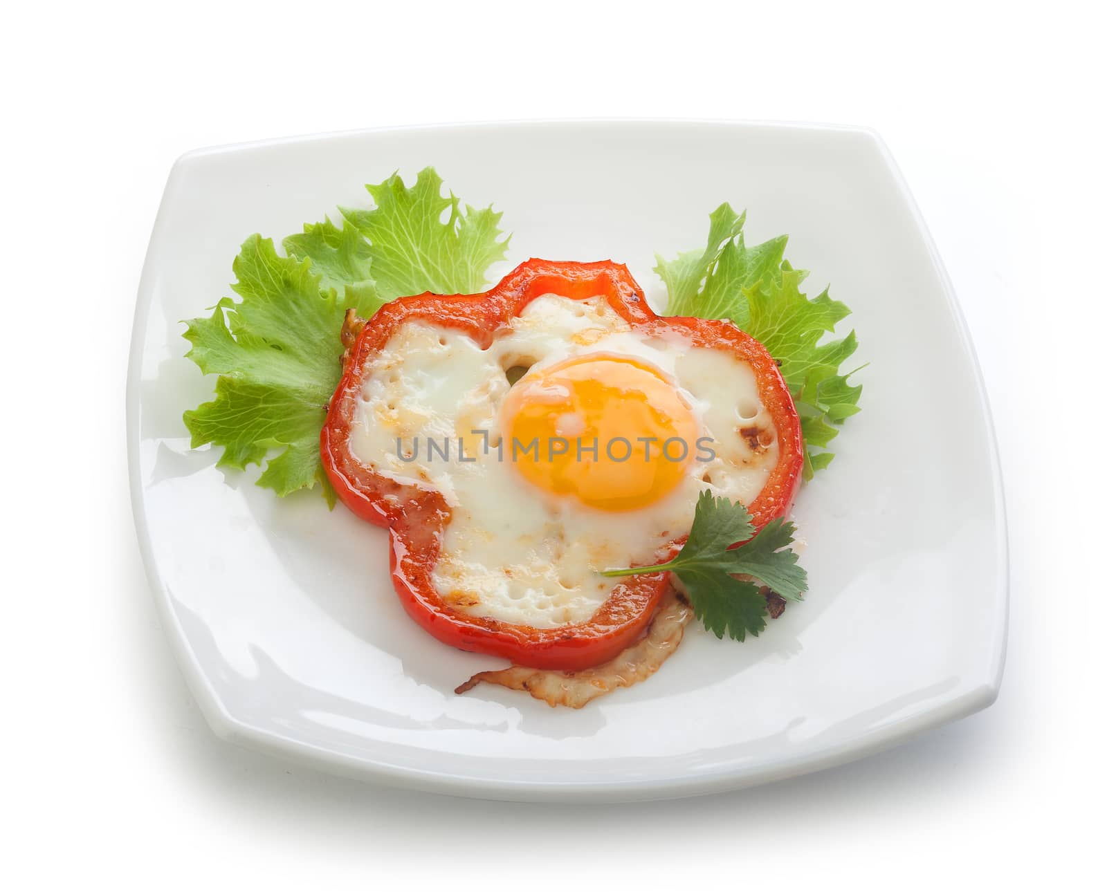 Fried egg with red pepper, fresh lettuce and parsley on the white plate