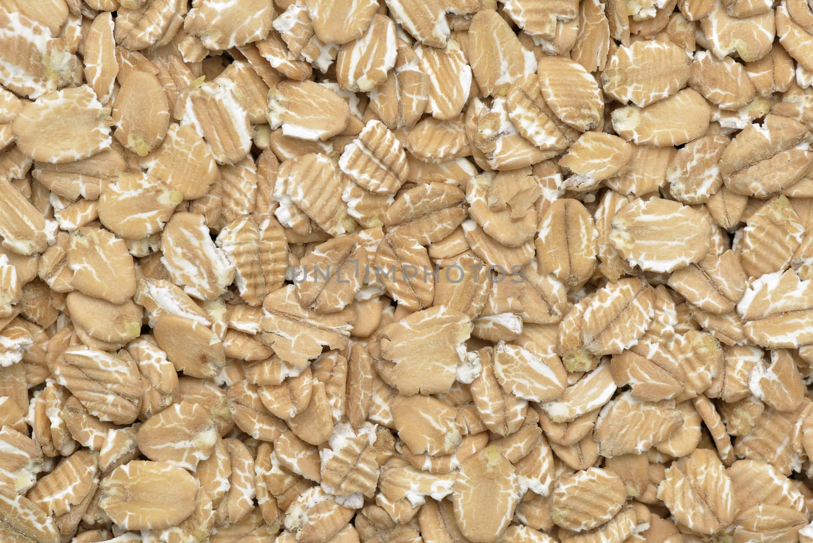Close-up of  spelt flakes for a breakfast