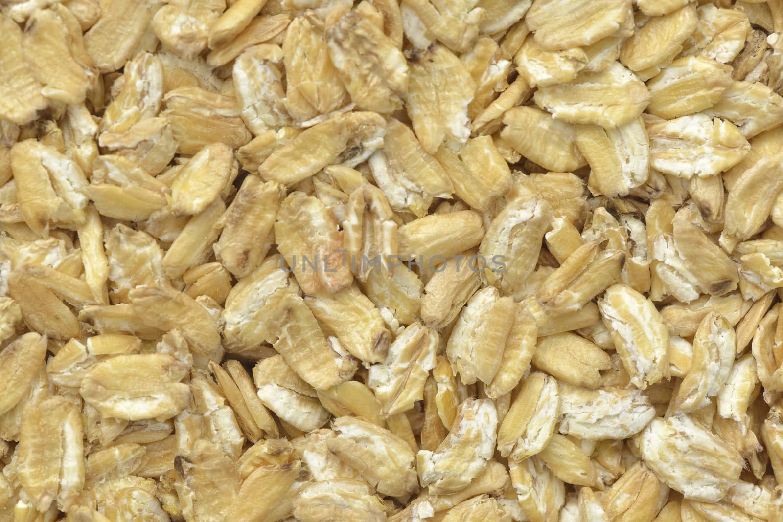 Close-up  wheat of  khorasan flakes for breakfast