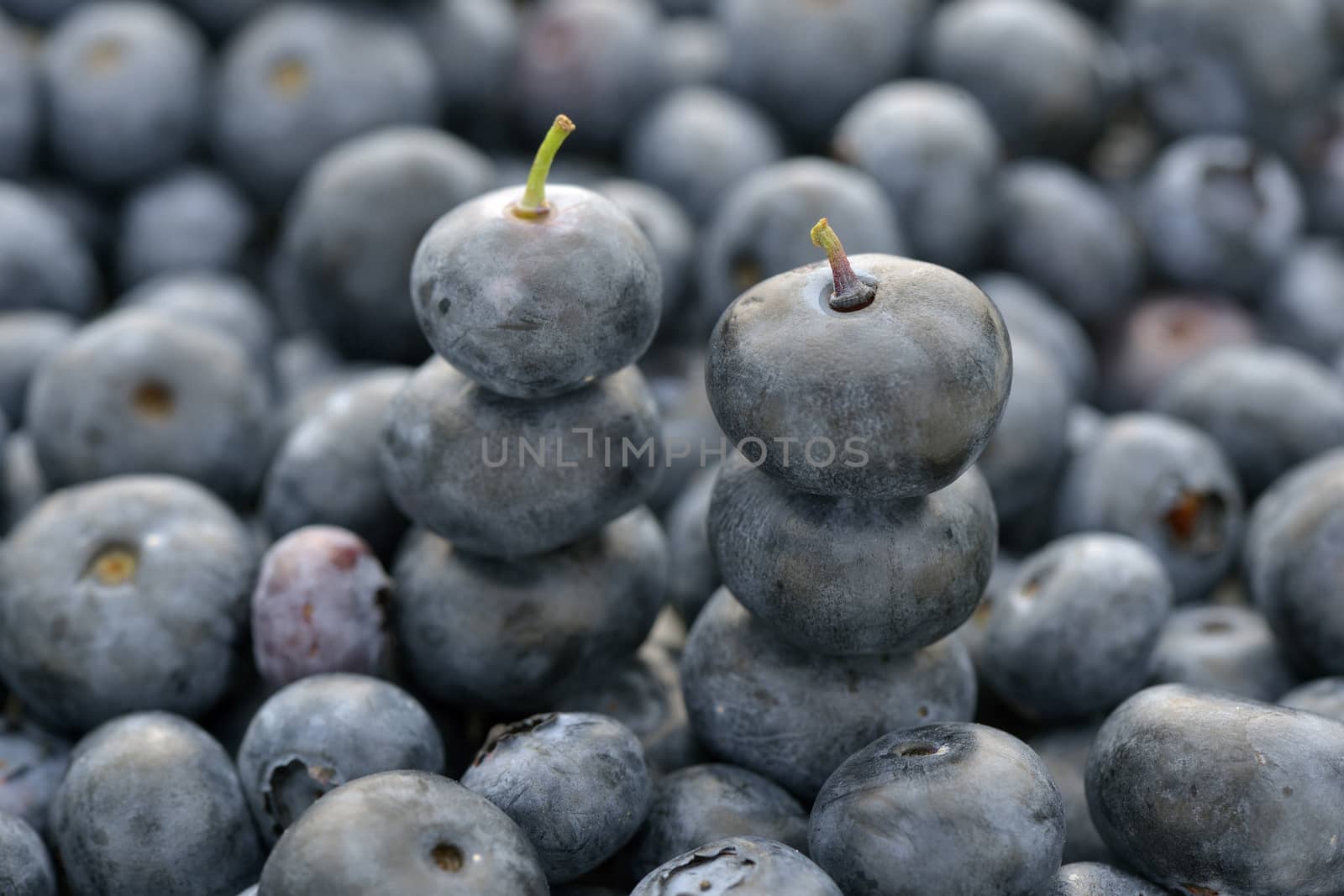 Two stacked blueberry by Hbak