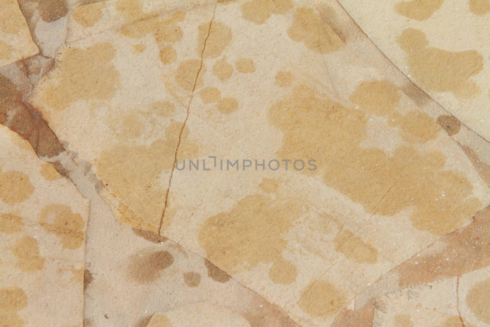 Stone background with water marks