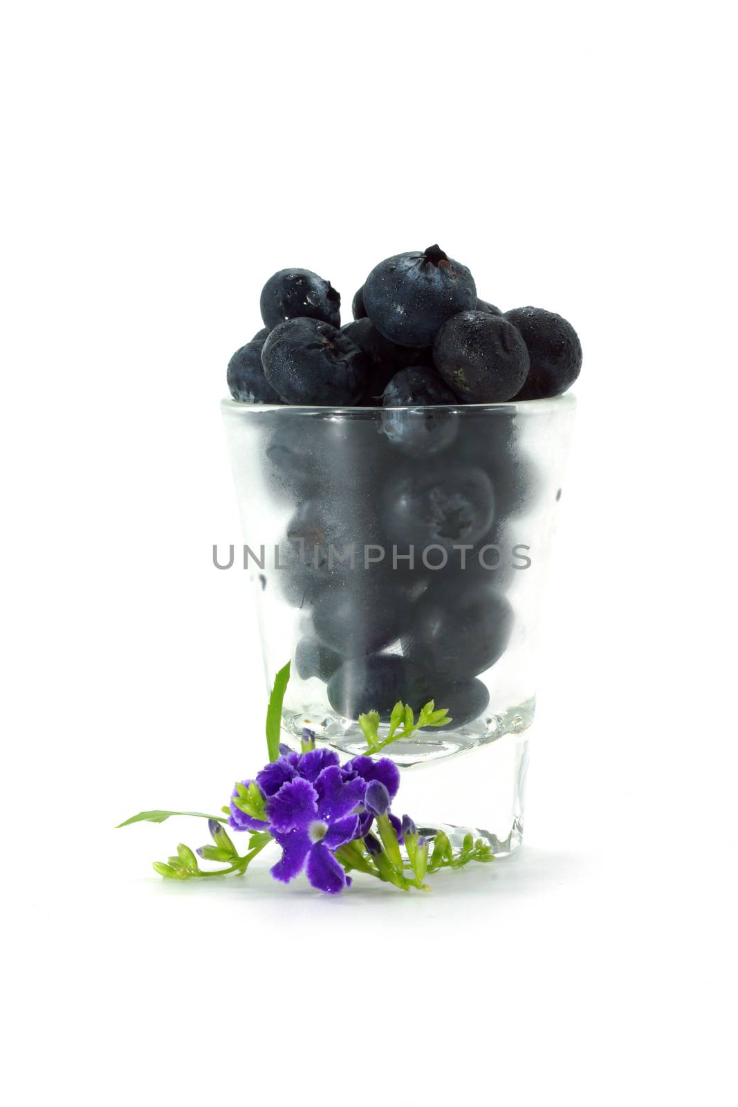 Blueberries with leaves on white background by Noppharat_th