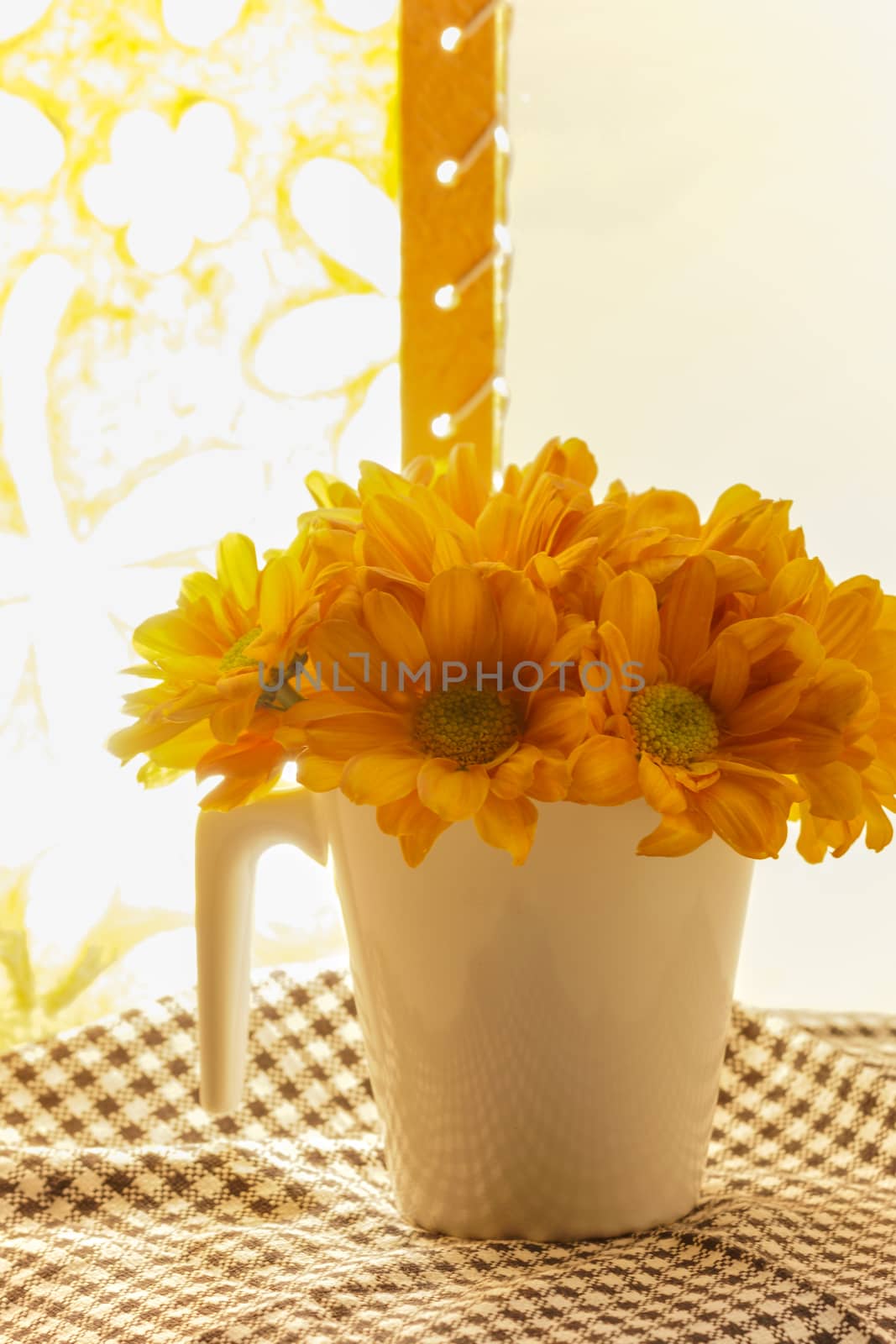 Orange chrysanthemum flower Combined with the lighting of paper lanterns.
