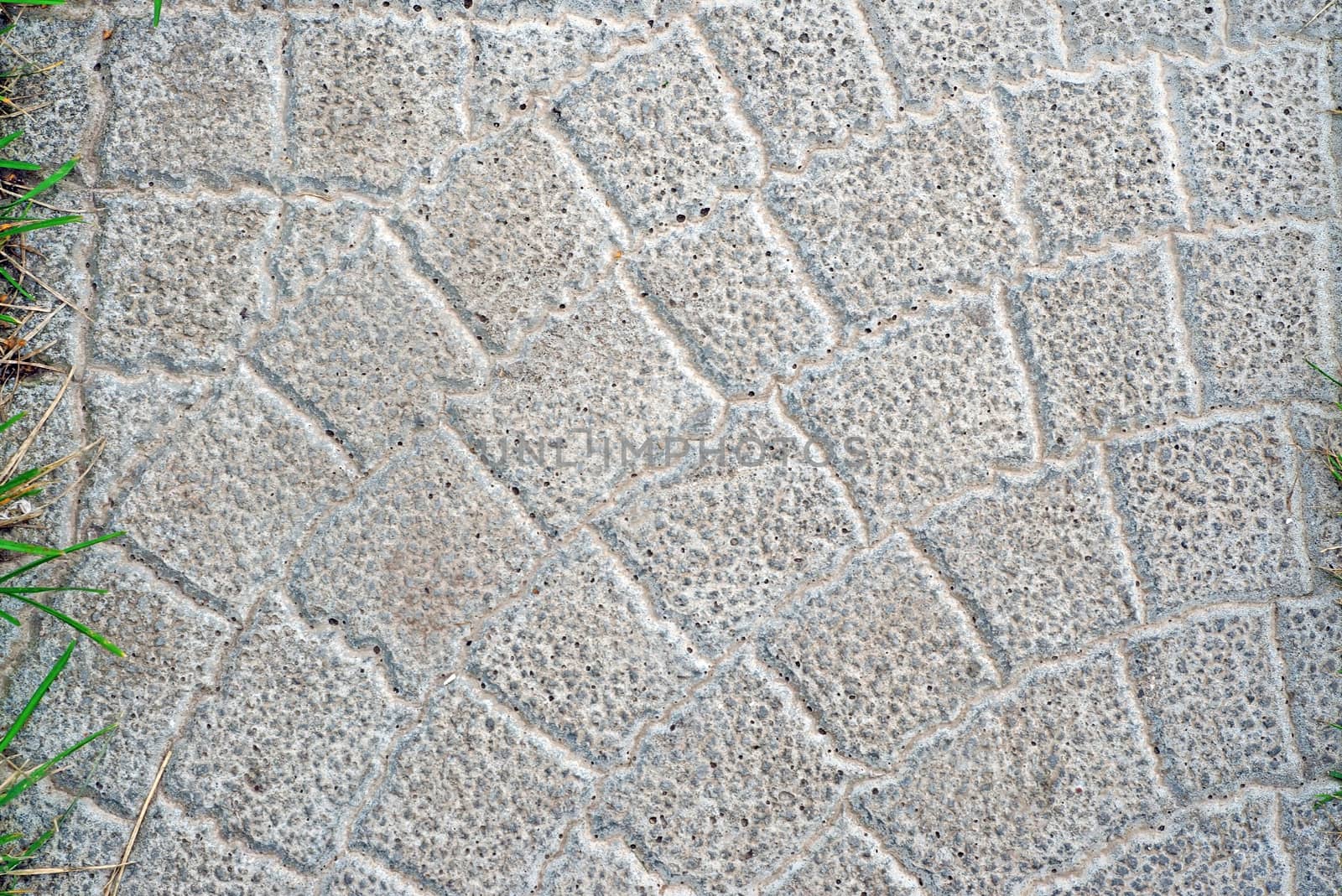 Gray stone tiles on the garden path as background                               