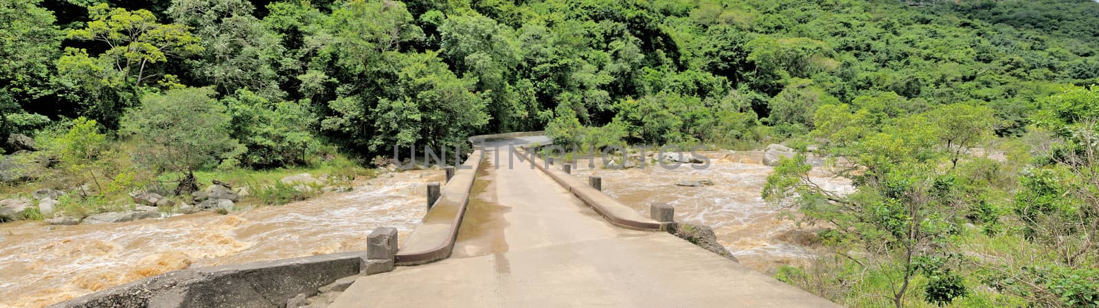 Panorama of the bridge crossing the Mzimkulwana River in the Oribi Gorge Nature Reserve, Kwazulu-Natal, South Africa
