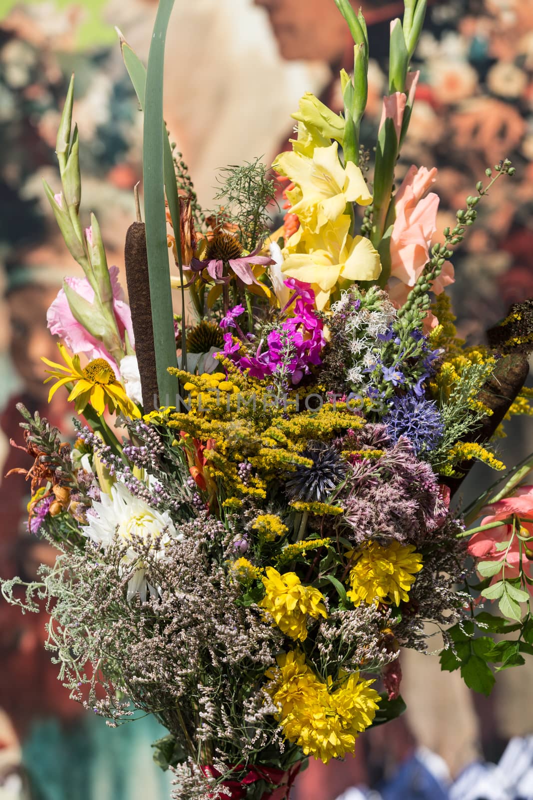 beautiful bouquets of flowers and herbs  by wjarek