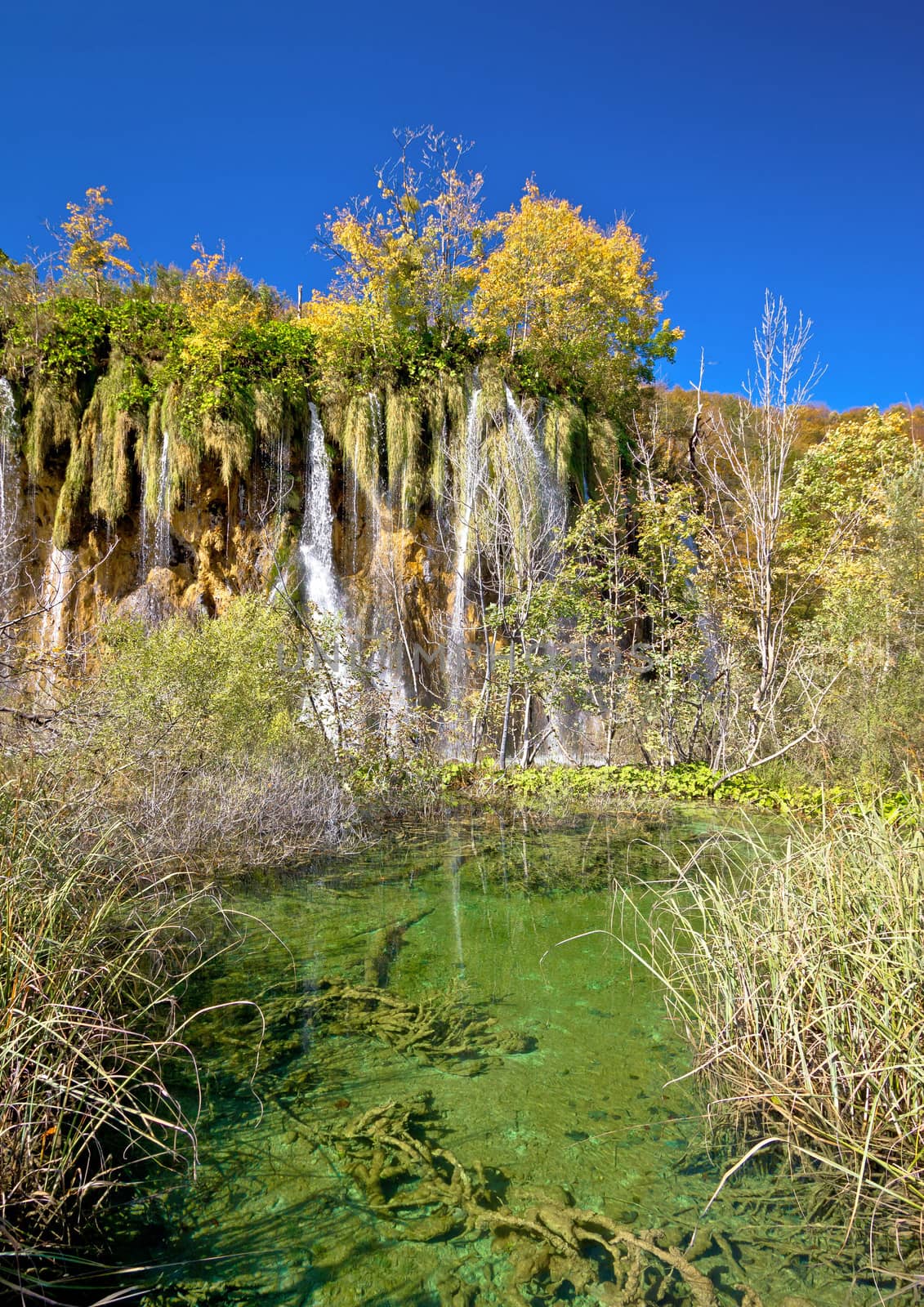 Green lake under Plitvice waterfall by xbrchx