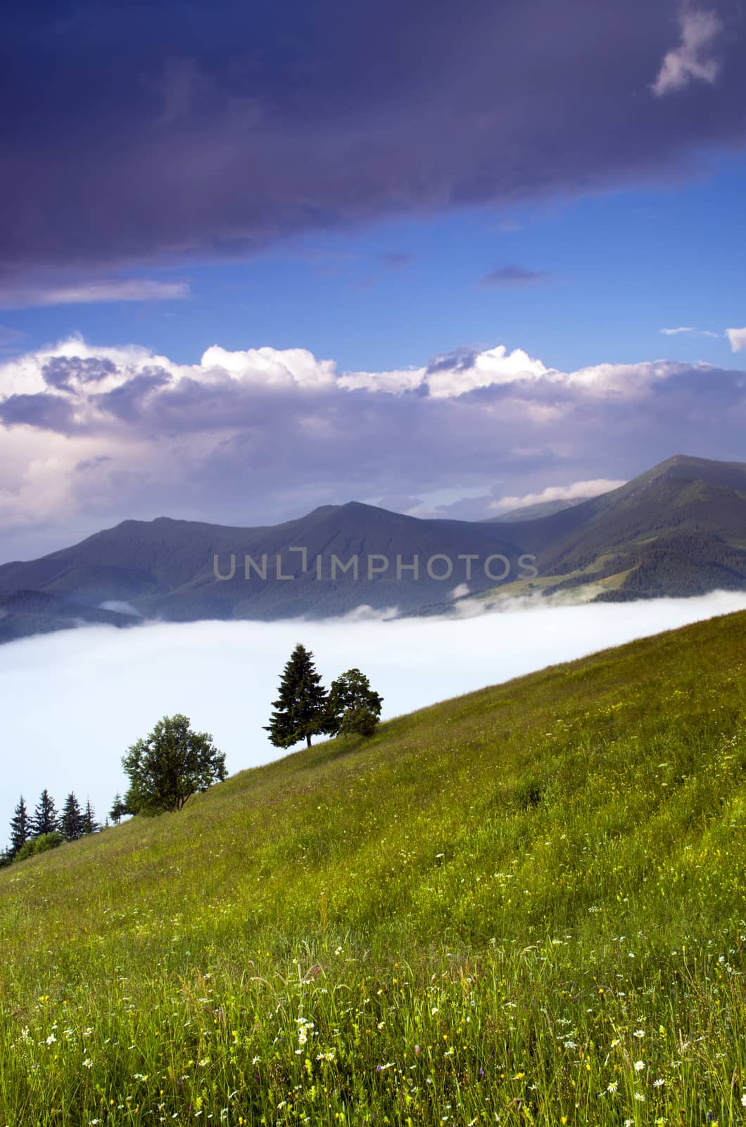 evening mountain plateau landscape (Carpathian, Ukraine) 