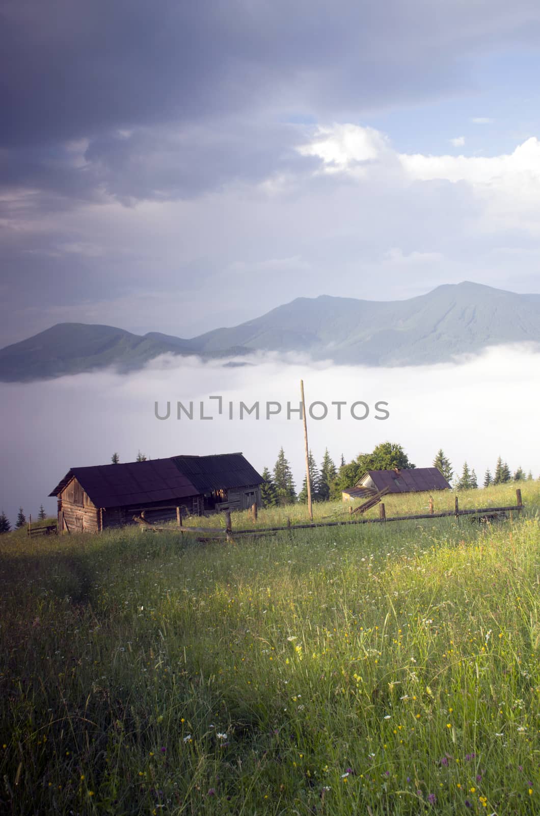 evening mountain plateau landscape (Carpathian, Ukraine)  by dolnikow