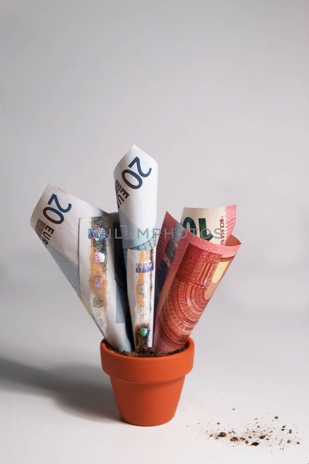 Three Euro banknotes planted in a clay pot growing out. Isolated objects with debris on the table surface