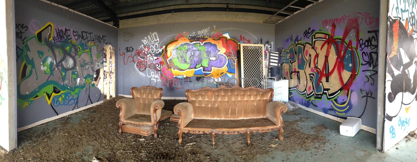 Abandoned building showing grafitti, willful damage, vandalism and destruction.  A retro gold velour sofa sits in the room with an upturned rubbish bin, unhinged screen door and other things.