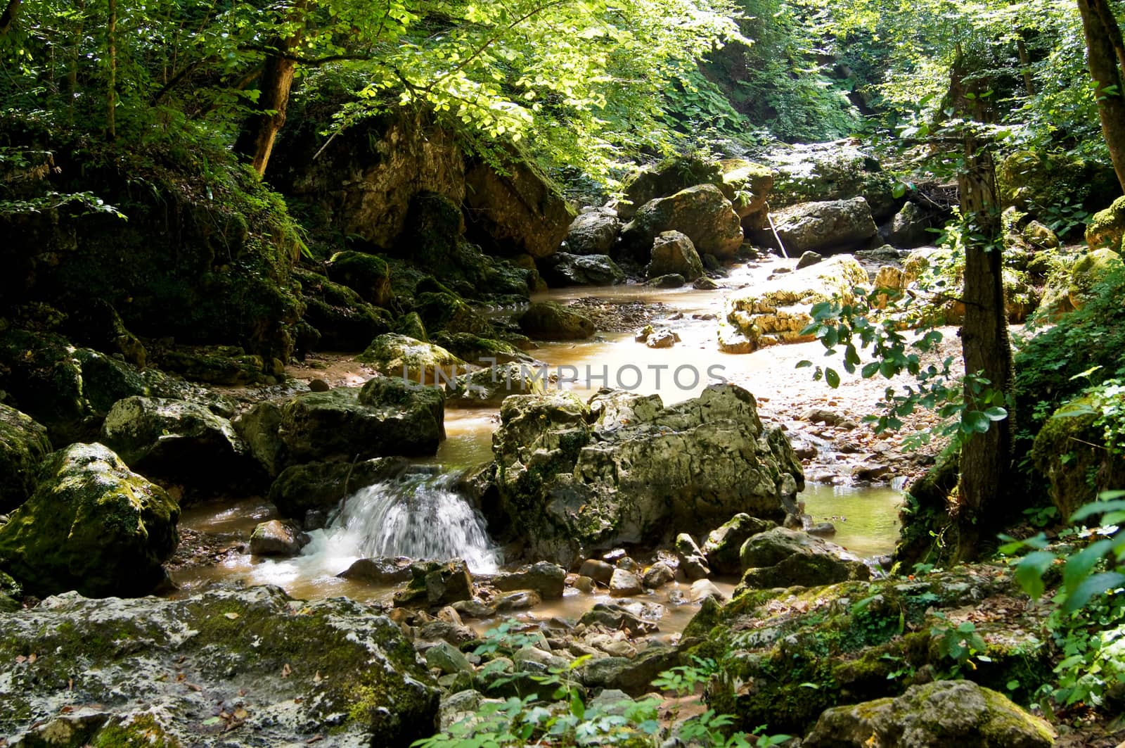 River canyon White. The south of Russia. Caucasus