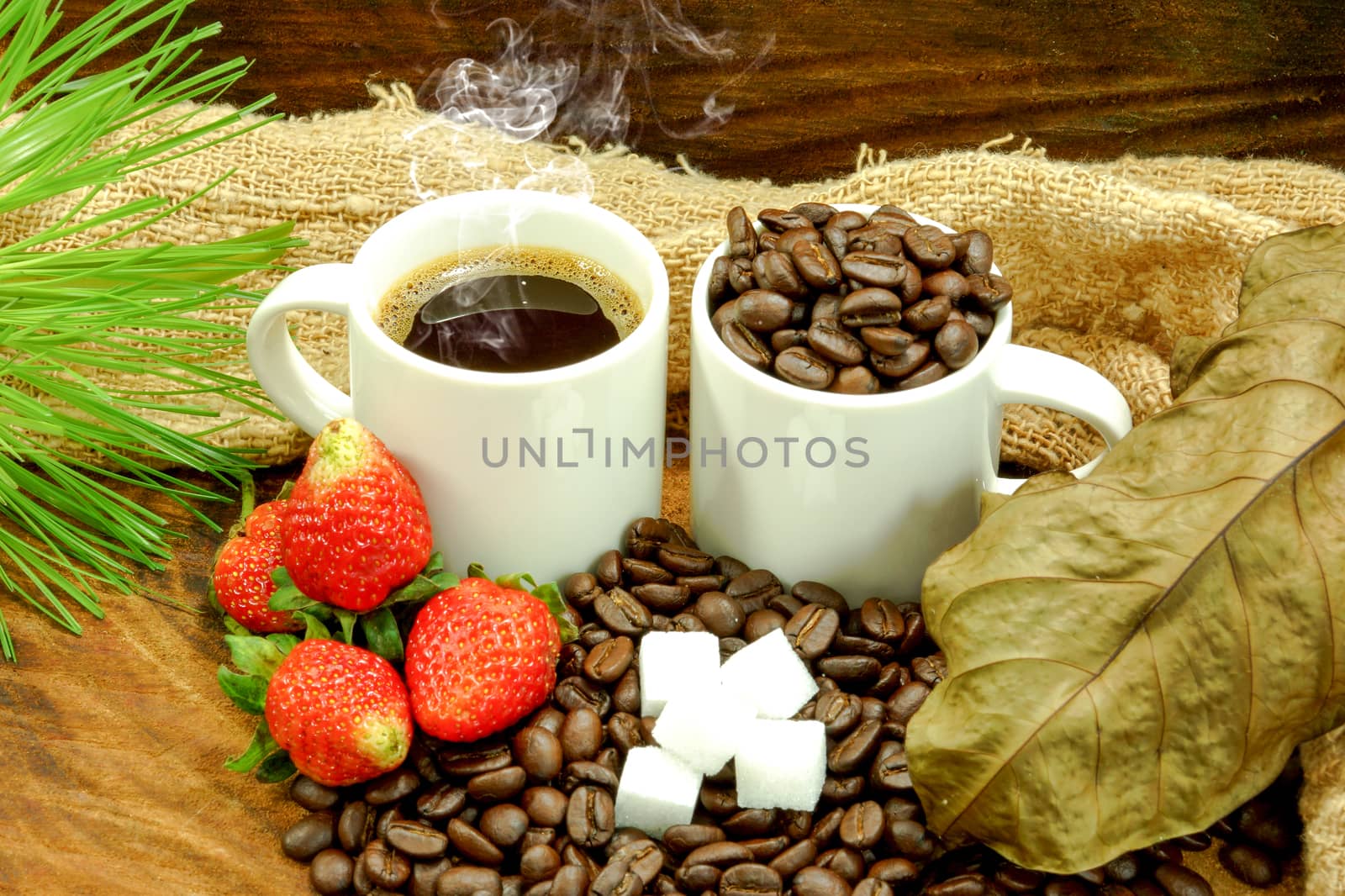 Fresh coffee and roasted coffee beans