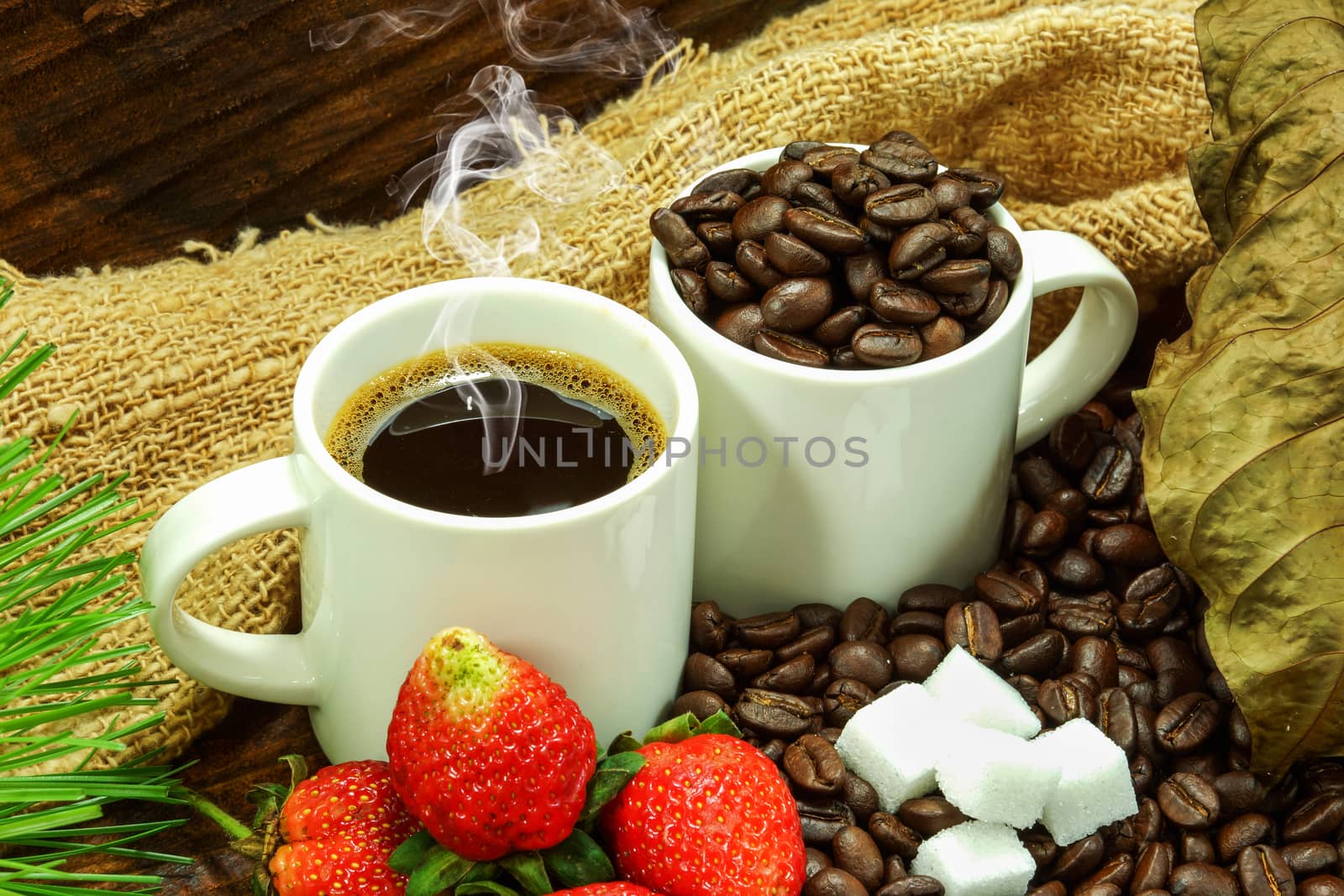 Fresh coffee and roasted coffee beans