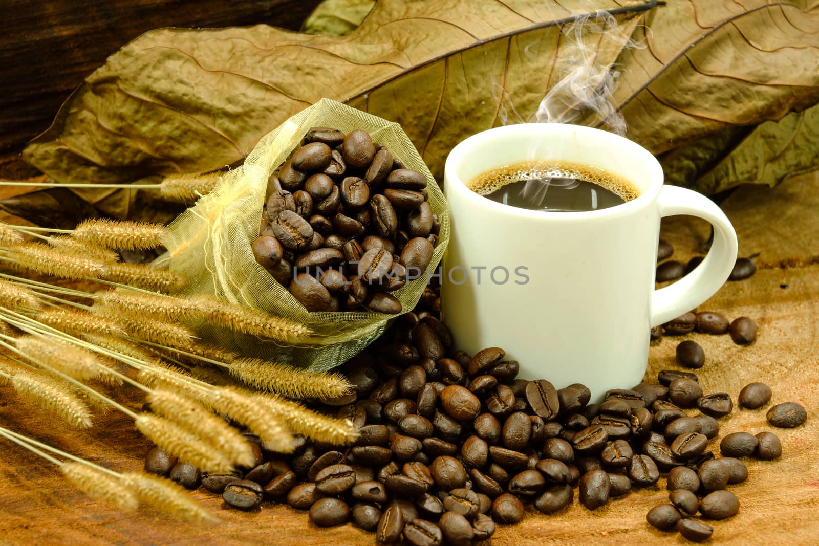 Fresh coffee and roasted coffee beans