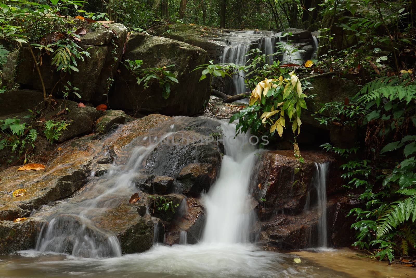 Small waterfall in the rainy season