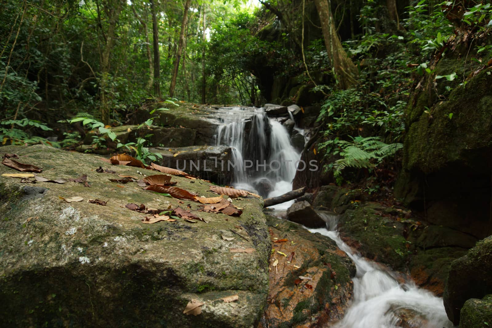Small waterfall in the rainy season