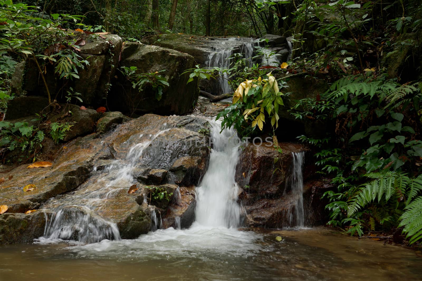 Small waterfall in the rainy season