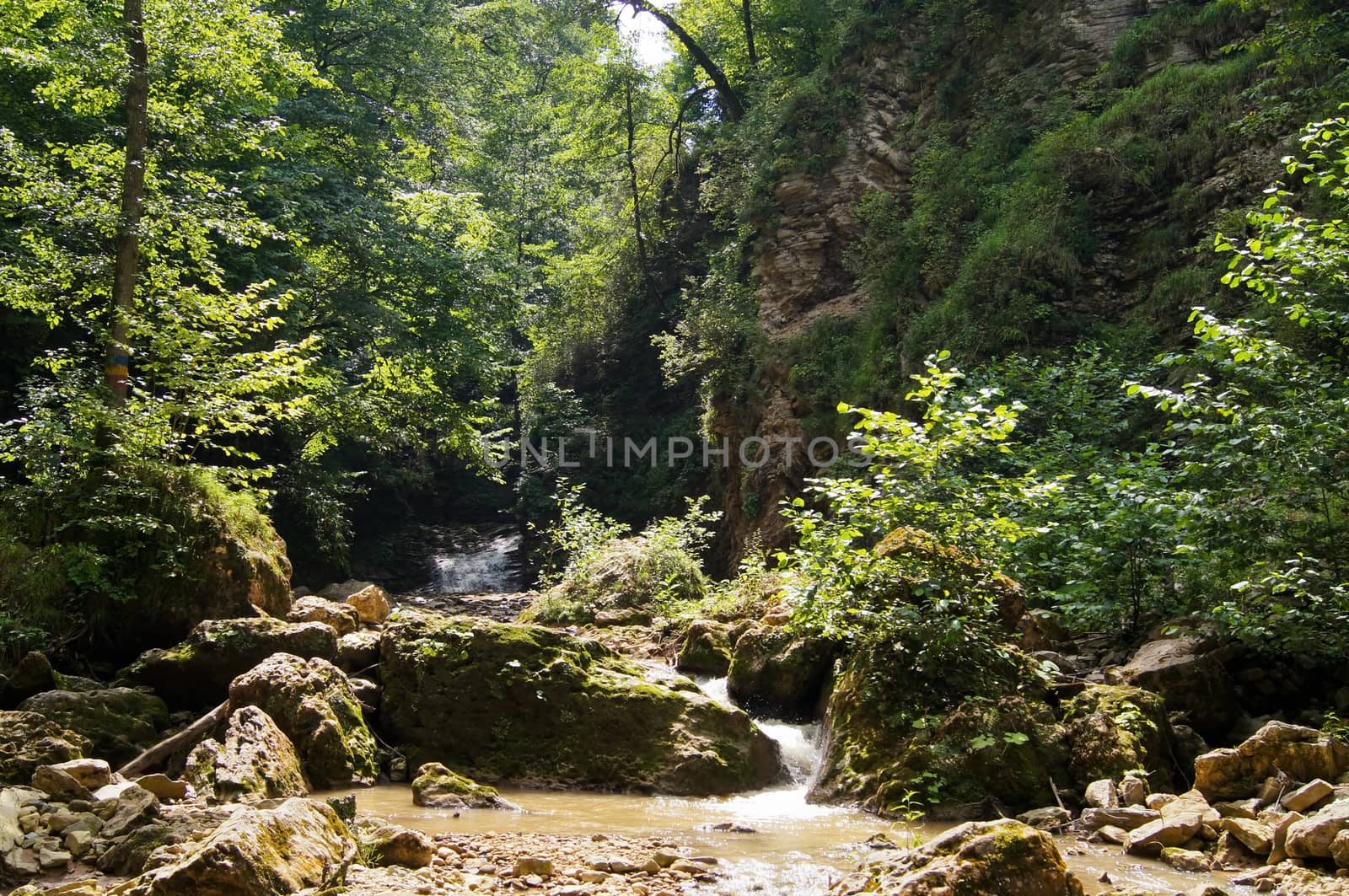 River canyon White. The south of Russia. Caucasus