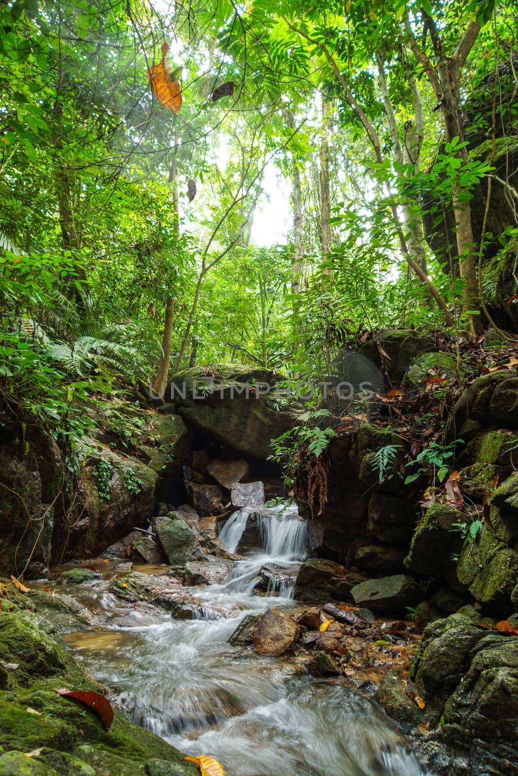 Small waterfall in the rainy season