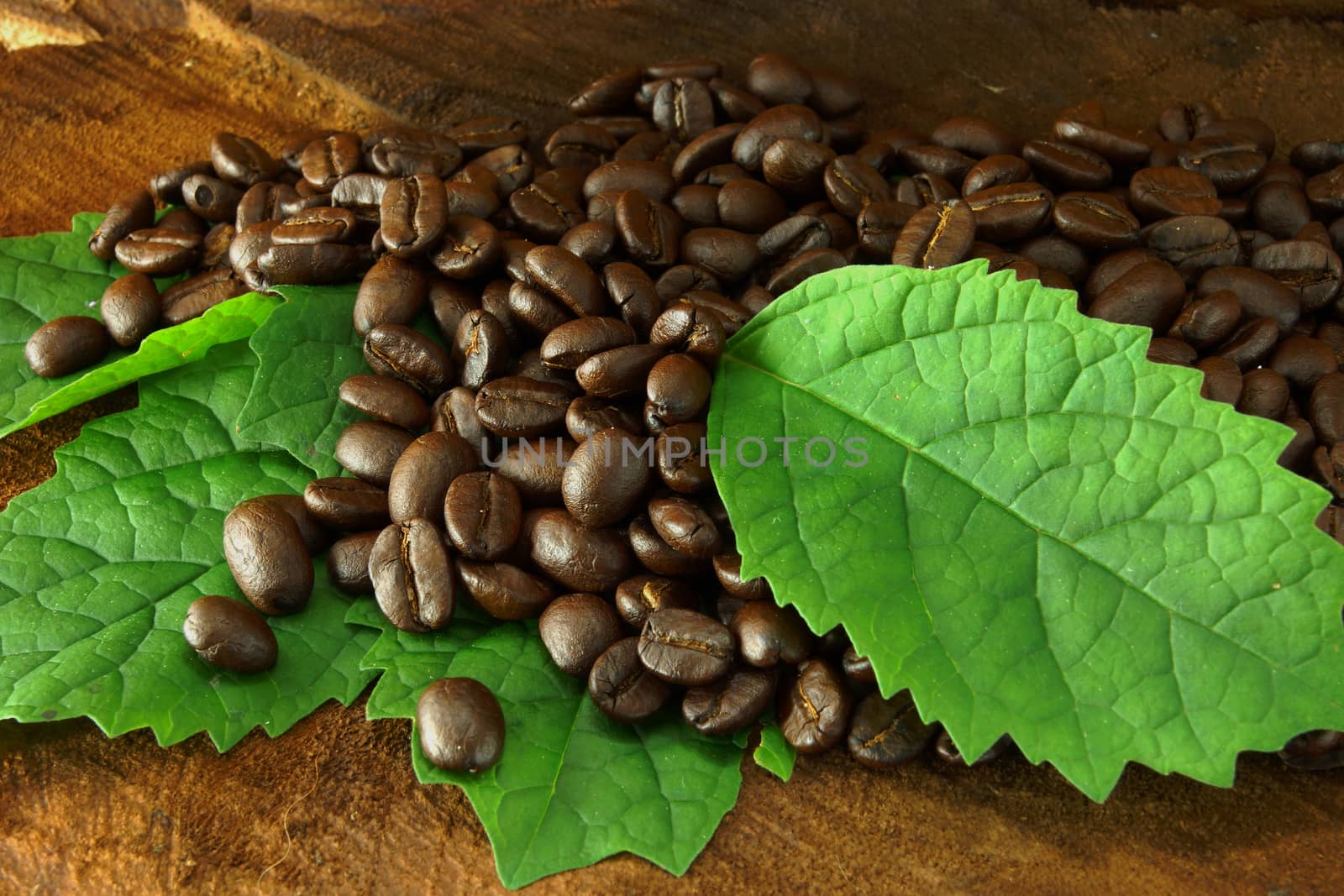 Coffee beans on the wooden background.