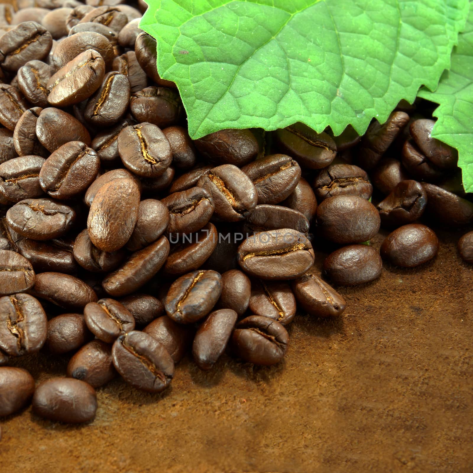 Coffee beans on the wooden background. by Noppharat_th