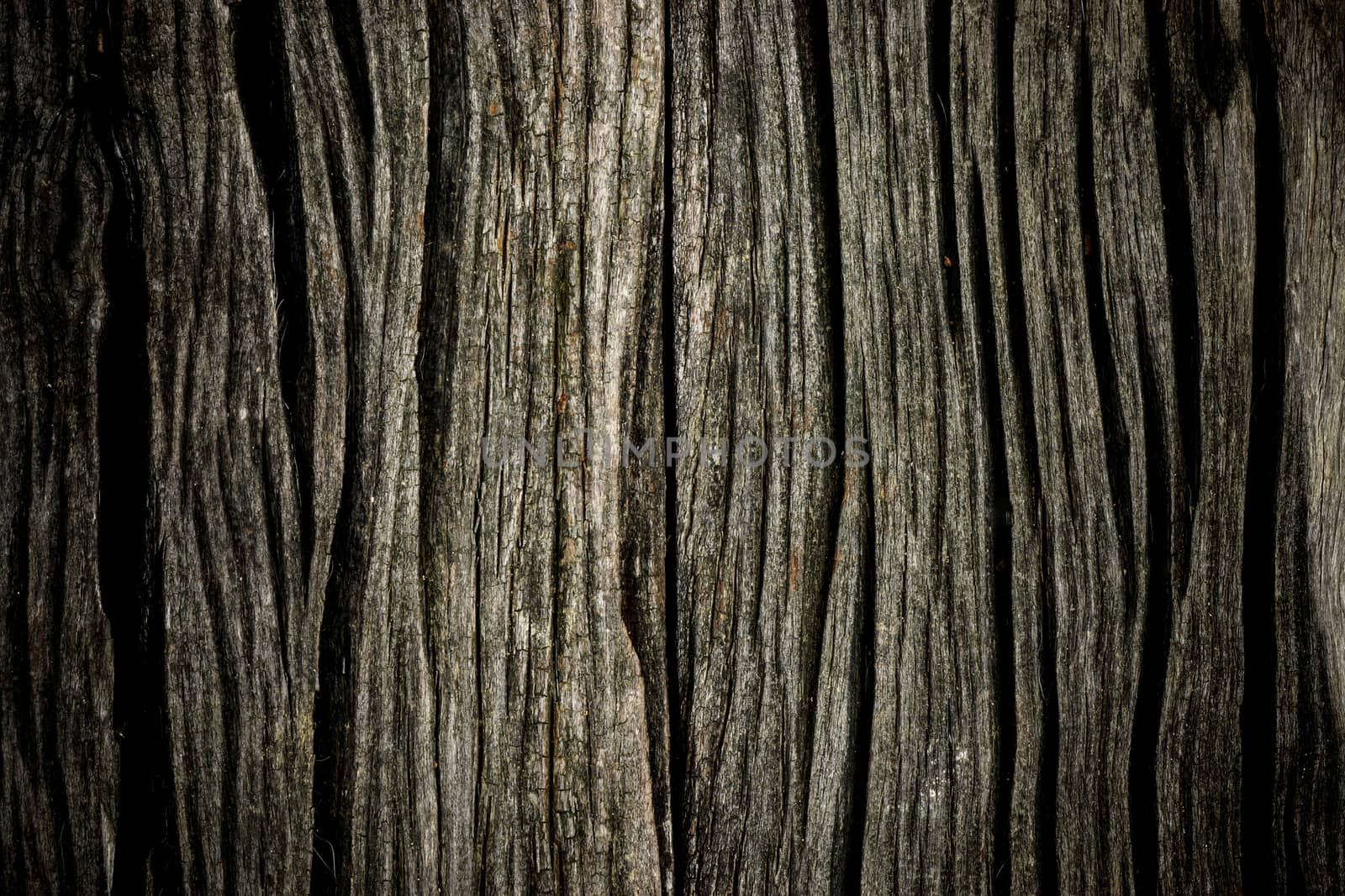 Detail of old wooden planks.