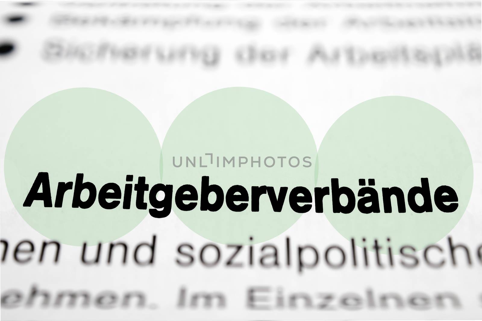 Text auf Seite "Arbeitgeberverbände" mit markierung horizontale Nahaufnahme