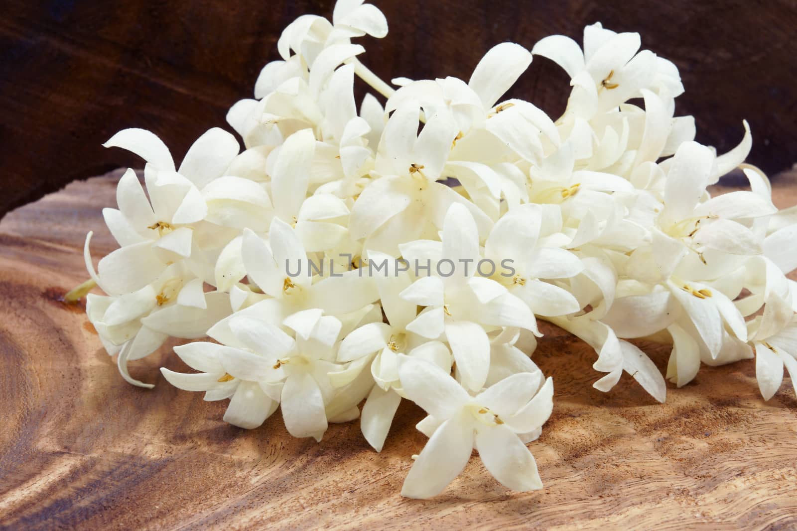Fragrant white flowers on wooden background. by Noppharat_th