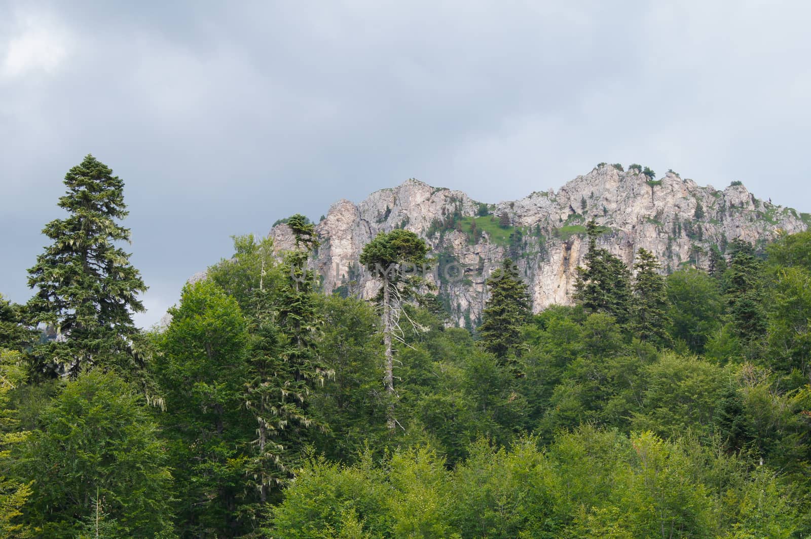 Mountains of the Caucasian natural reserve